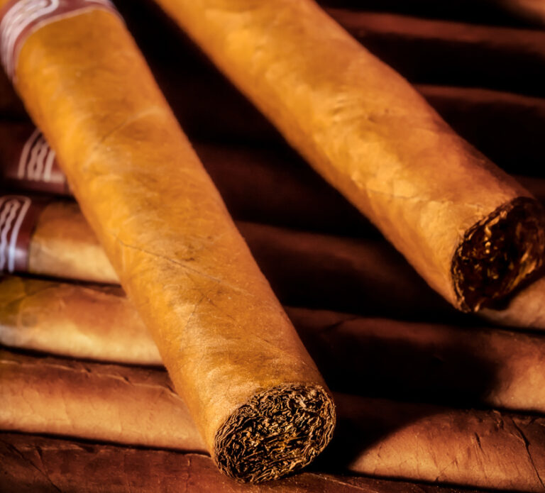 FDA Study Cancer Risks Nearly Nil for 12 Cigars Per Day The