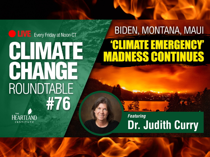 Heartland Institute Climate Change Roundtable Judith Curry