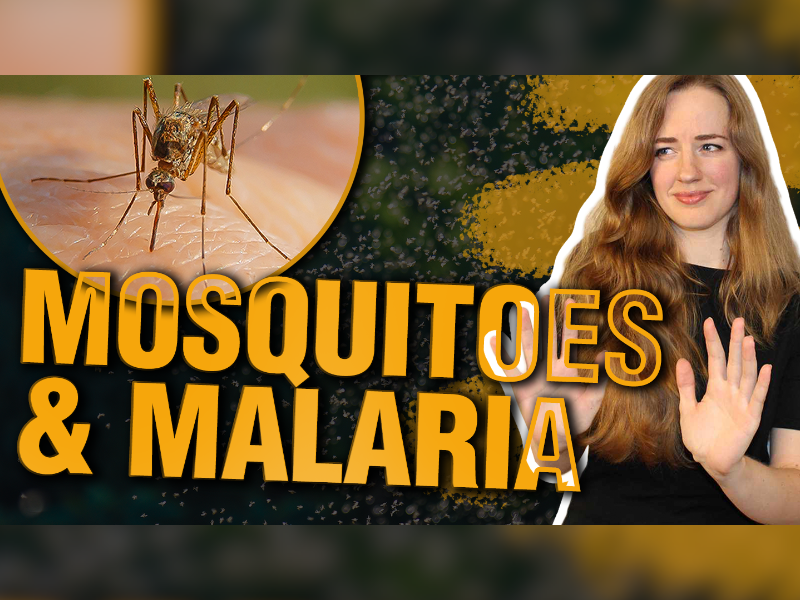 mosquitos and malaria