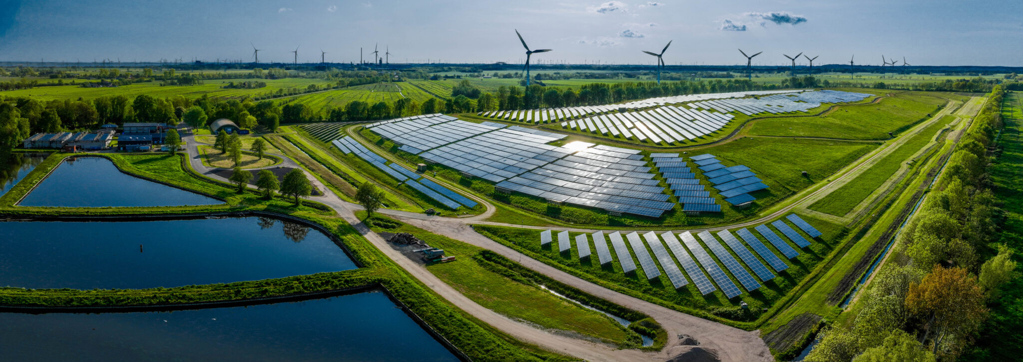 Research & Commentary: CAE Report Details the Environmental, Ecological ...