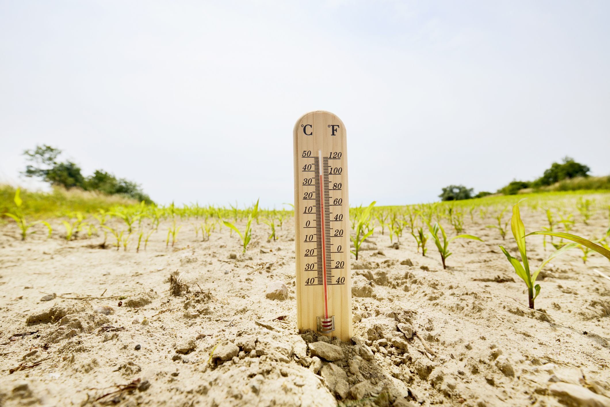 It’s Hot Weather, But Not Man-Made