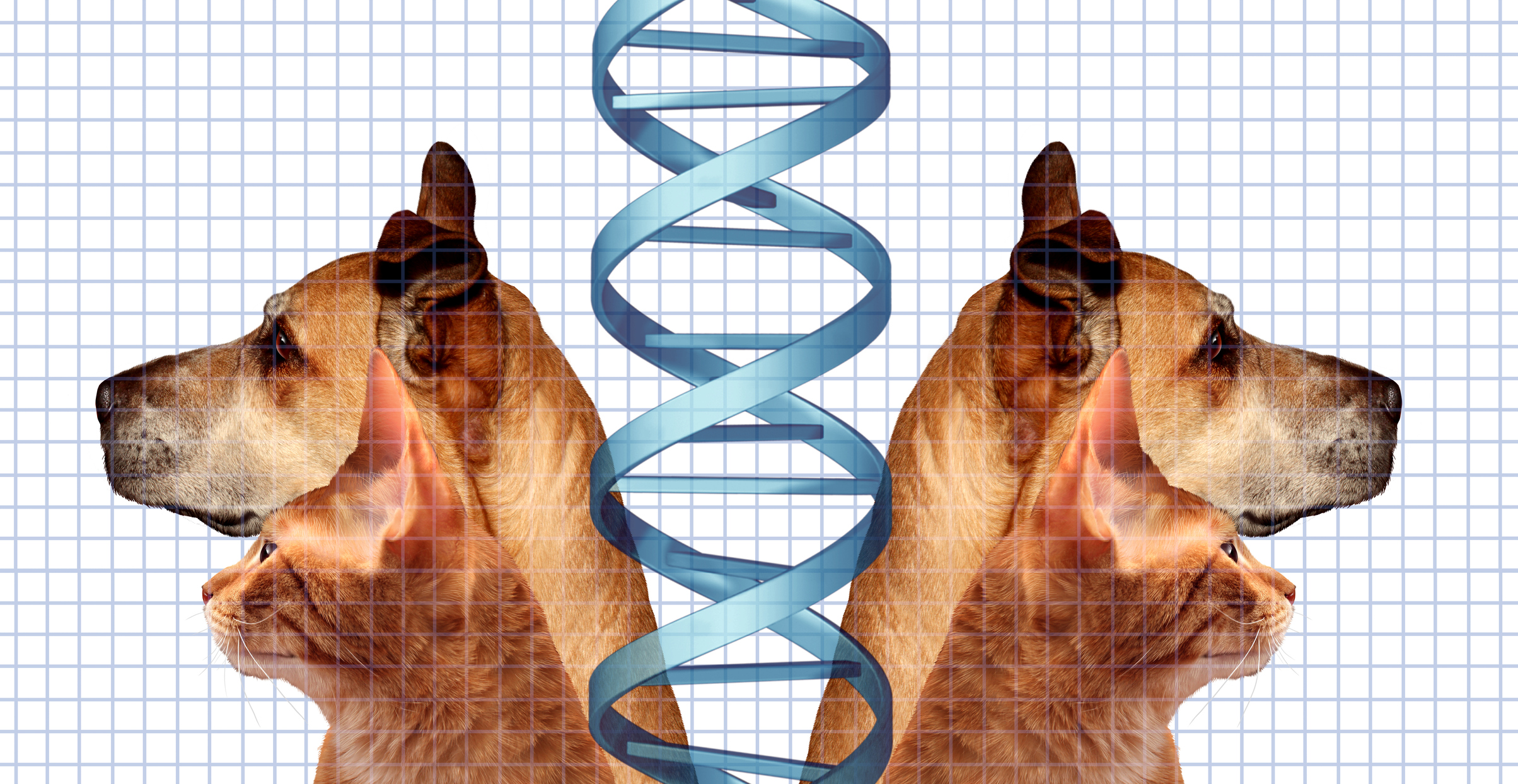 From Cloned Sheep to Wooly Mammoths