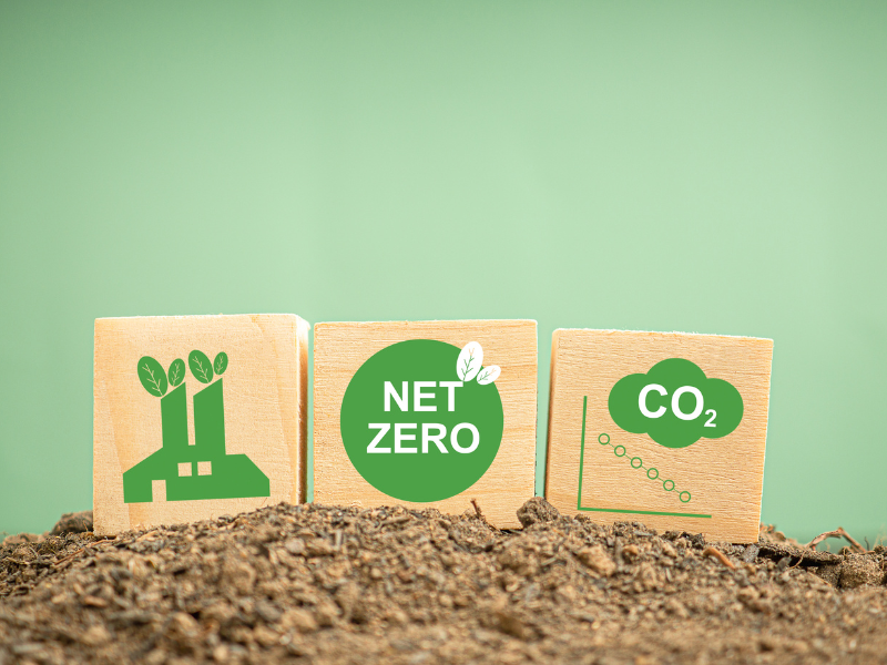 Are Zero-emissions Ideologues Energy Blind?