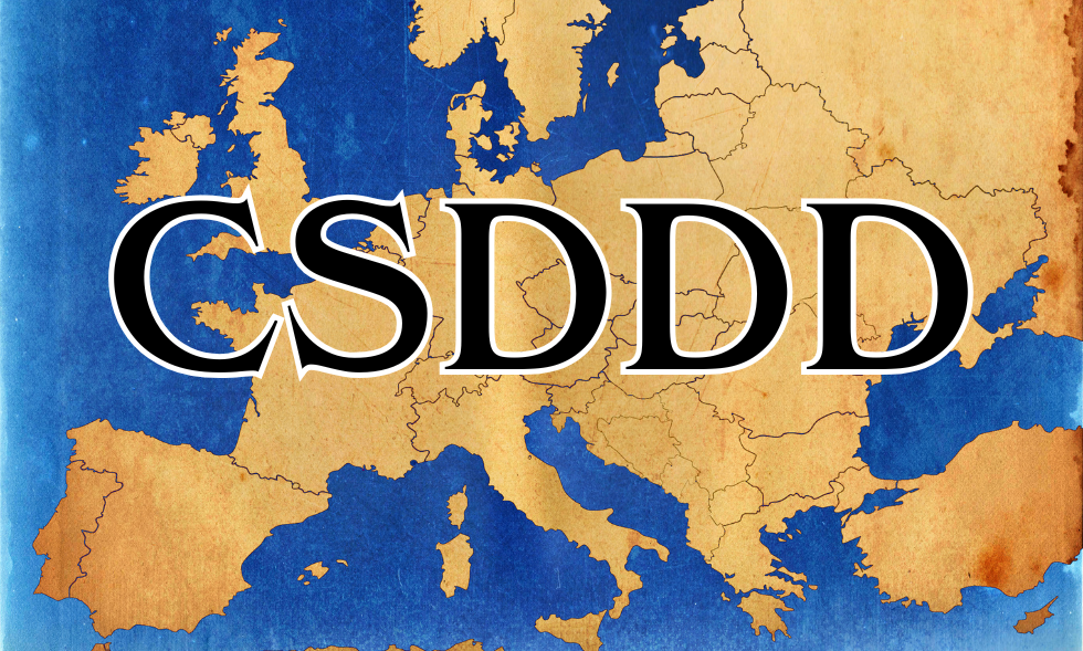 CSDDD europe